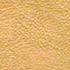 ����� Albert Gold