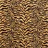����� Zebra Origina