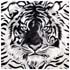 ����� Tiger Albino