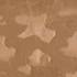 ����� Zoo Walnut