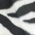 ����� Zoo Zebra