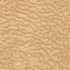 ����� aragon-desert