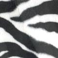 Zoo